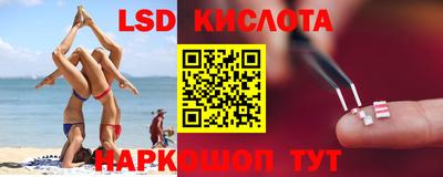 мдпв Кингисепп