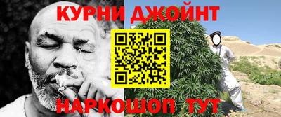 мдпв Кингисепп