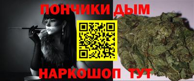 мдпв Кингисепп