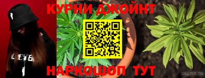 мдпв Кингисепп