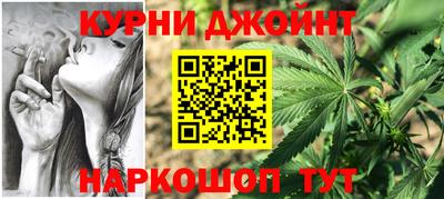 мдпв Кингисепп