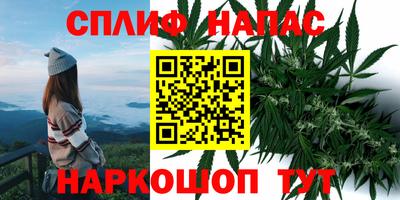 мдпв Кингисепп