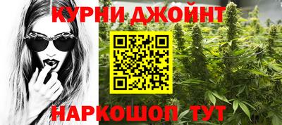 мдпв Кингисепп