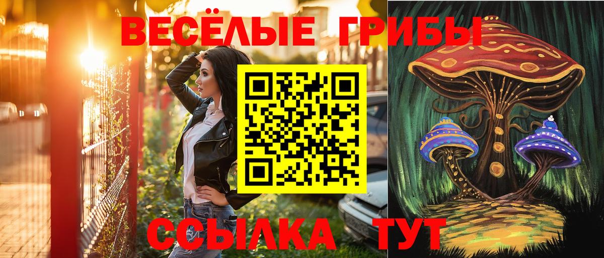 Псилоцибиновые грибы прущие грибы Балтийск
