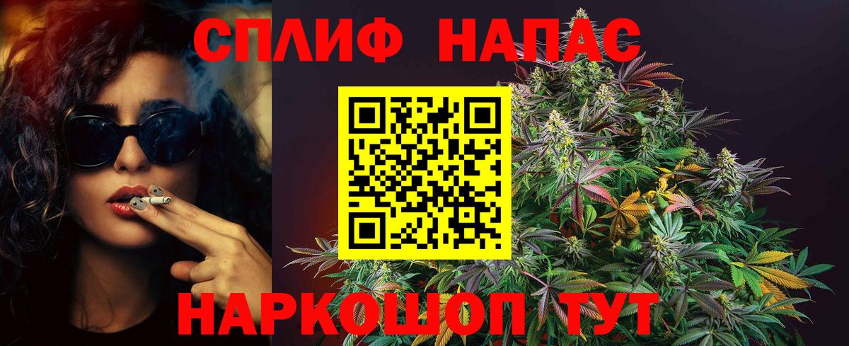 Балтийск  Шишки марихуана тримм  Конопля гибрид  Канабис семена  Вход с VPN 